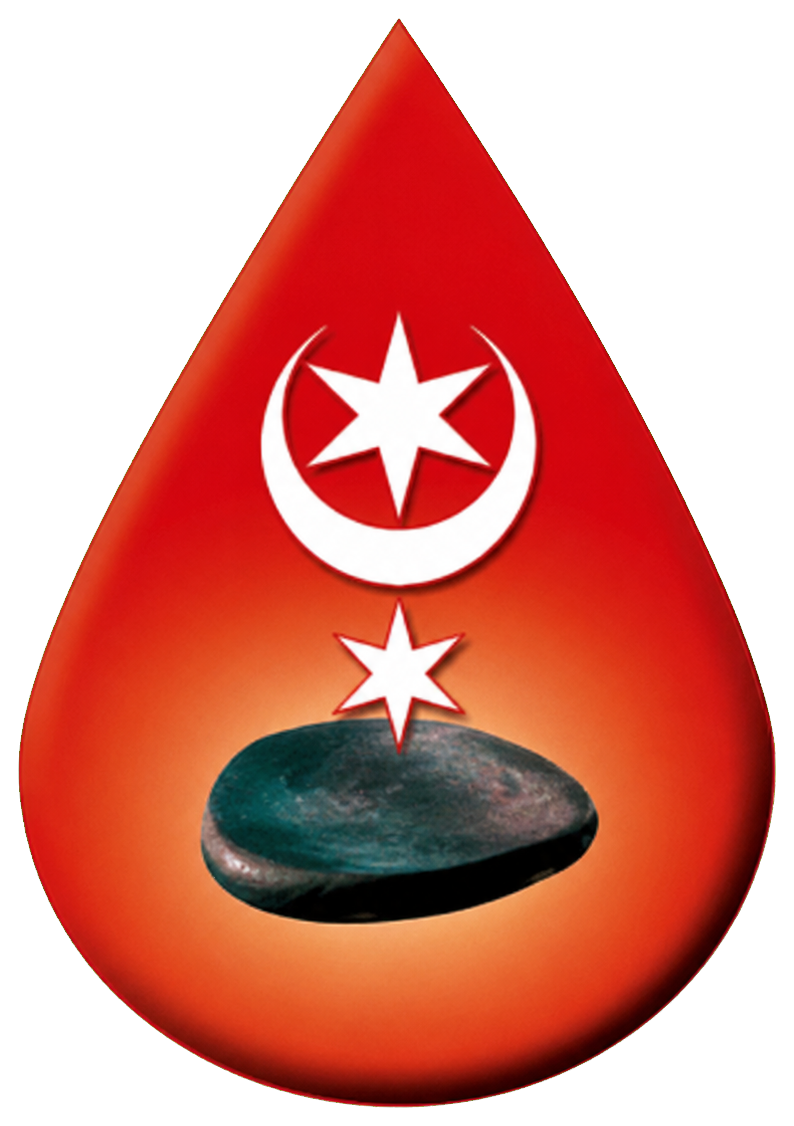Logo der Selbsthilfegruppe für Leukämie- und Lymphompatienten Halle (Saale)