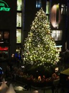 Weihnachtsfeier im Stadthaus 2014