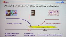 Patiententag zur Stammzelltransplantation in Mainz 2018