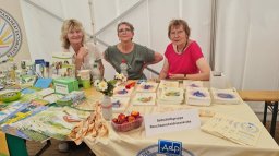 Tag der Selbsthilfe auf dem Halleschen Marktplatz – Juni 2024