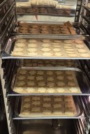 Backen - Dessau 2025
